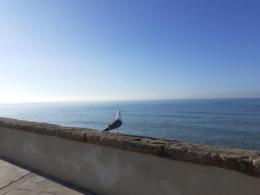 Mar Y Sol Apartment Cadiz Bagian luar foto